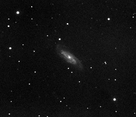 NGC3198-20050509-L.jpg