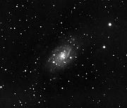 NGC2403-20050509-L